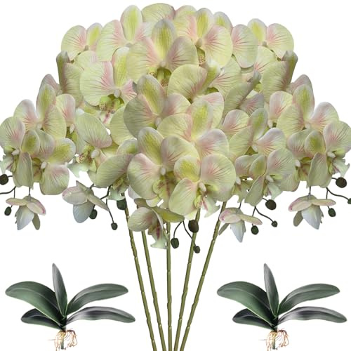 HinyoCo 5 Pz Fiori Orchidea Finta Ramo Artificiali Phalaenopsis Fiori Orchidea con 2 Pz Foglie per Casa Decorazione (Rosa verde chiaro)