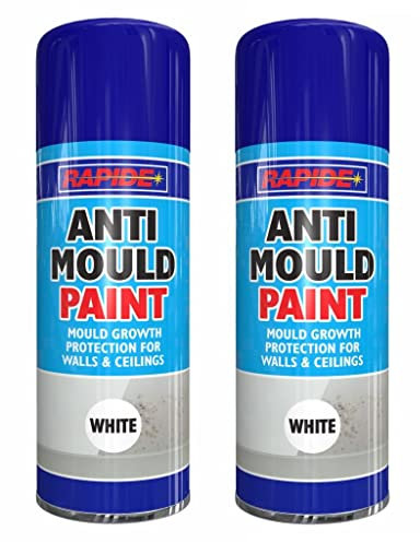 2x 400ml Anti Mould Spray Paint Aerosol For Damp Protections Of Walls, Ceilings, Metal, Wood, Plastic, Ceramic