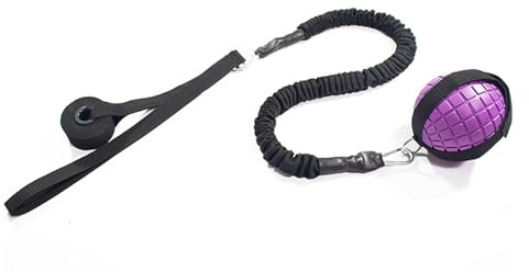 Generisch Balón de entrenamiento con peso, pelota de entrenamiento para el gimnasio en casa, bolas de peso dinámicas, pelotas de entrenamiento de fuerza, pelota de gimnasia ajustable para familias