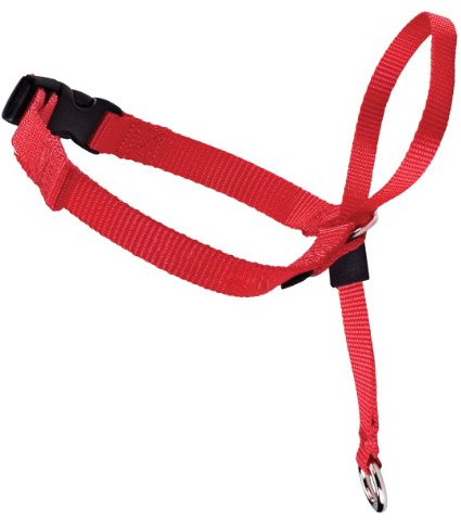 PetSafe Hundehalfter L, Easy Walk Kopfgeschirr rot, kein Ziehen oder Hochspringen, einfaches An-und Ausziehen, für große Hunde, erhältlich in 3 Größen und 2 Farben
