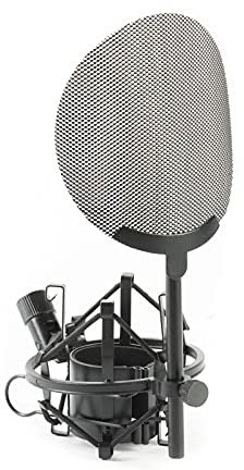 Fame Audio EA 26 Pop, Mikrofonspinne mit Metall-Pop-Schutz, Trittschall und Pulsivlauten Schutz, Einfache Montage, Geeignet für Mikrofone mit 4,5cm Durchmesser