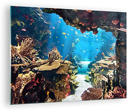 Moderne Impression sur Verre Océan Récif Poissons Corail Image Tableau en Verre Decoration Murale 70x50cm Deco Cadre Salon Chambre Cuisine Horizontal Petit Tableaux Decoratifs Muraux Art GAA70x50-2872