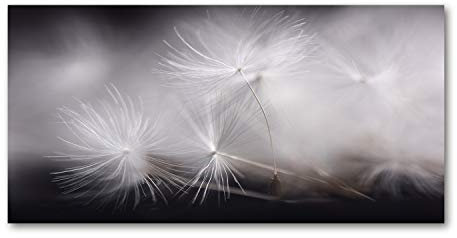 Tulup Leinwandbild - Wandkunst - Drucke auf Leinwand - Leinwanddruck -100x50 cm - Blumen & Pflanzen - Schwarzweiß - Pusteblume