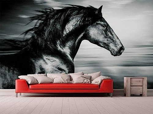 Oedim Fotomural Vinilo para Pared Caballo Negro | Vinilo Premium | Fotomural Vinilo Decorativo | 600 x 300 cm | Decoración comedores, Salones, Habitaciones