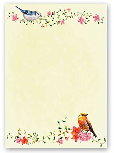 Motif Paper – Stationary Paper Birds Chirping 20 Sheets DIN A4