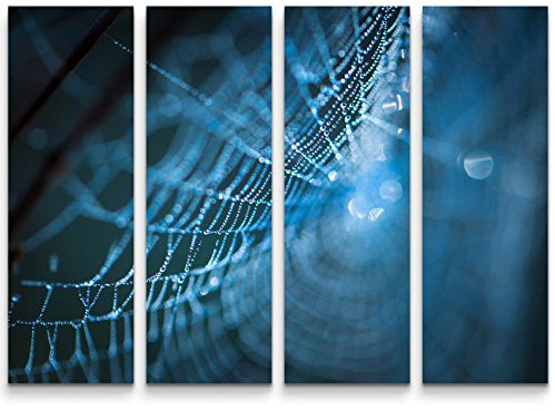 SIN-US 74 Spinnennetz am Morgen, Nahaufnahme - 4 teiliges Canvas Bild 4x30x90cm