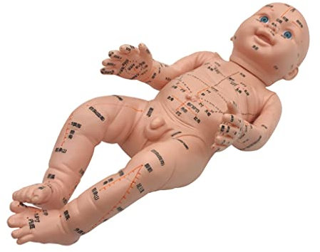 UIGJIOG Pädiatrisches Massagemodell Akupunktmassage HD Schriftzug Chinesische Medizin Akupunkturpunkt Druck Meridiani Massagemodell PVC