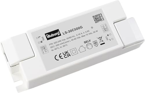 Eaglerise LED Netzteil Driver Treiber Trafo 500mA mit Konstantstrom (30W 500mA), Weiß