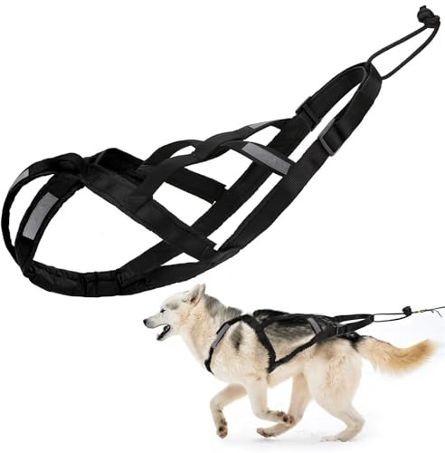 Zuggeschirr für Hunde | Ultra-Robust & Reflektierend | Aktivgurt für Schlittenhunde, Sport & Training | Komfortabel & Ausgezeichnet(Schwarz,L)