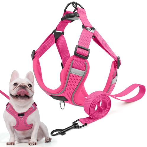 Hundegeschirr für Kleine Mittelgroße Hunde, Anti Zug Reflektierend Welpengeschirr mit Leine, Verstellbar Air Mesh Atmungsaktiv Brustgeschirr für Hunde Gassigehen, Training und Reisen (Rosenrot, M)