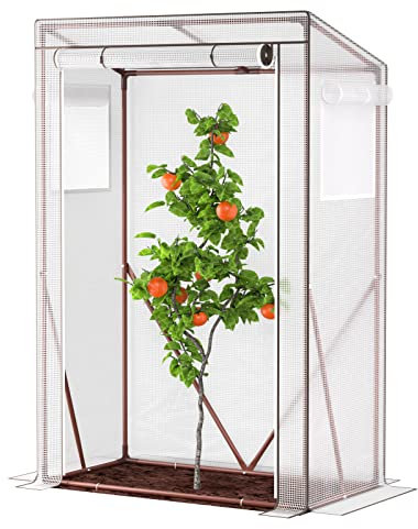 UDPATIO Serra per pomodori, piccola serra in pellicola, per pomodori, con porta arrotolabile e 4 ganci da terra, stabile, per terra, giardino, 150 x 100 x 50 cm