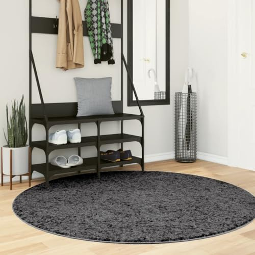 Tonture Oviedo Kurzflor Teppich Anthrazit Ø 160 cm, Weicher Polyester Flachflorteppich, Oeko-TEX Standard 100, für Wohnzimmer Schlafzimmer Esszimmer Boden Dekor Fußbodenheizung geeignet