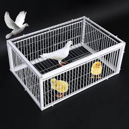 REBOTZ Jaula Trampa para Pájaros, Colector de Trampa, Puerta de Gallinero de 40/60/70/90/100 cm para Palomas de Carreras, Palomas, Loros, Pájaros, Puerta de Ventana, Suministros