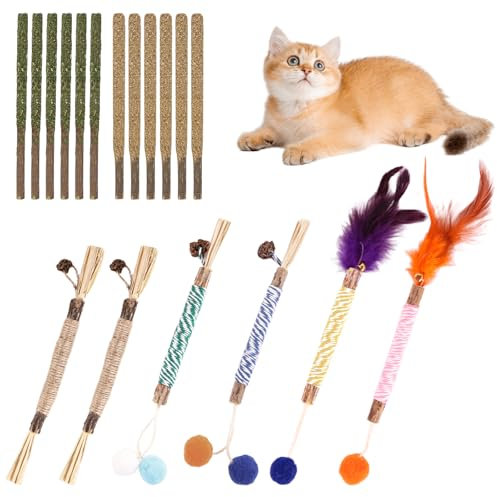 PAYFULLY 18 Stück Katzenminze Stick, Natürlich Sicher Matatabi Stick Katze Set, Matabi Sticks Katze für Katzen Zahnpflege & Gegen Mundgeruch