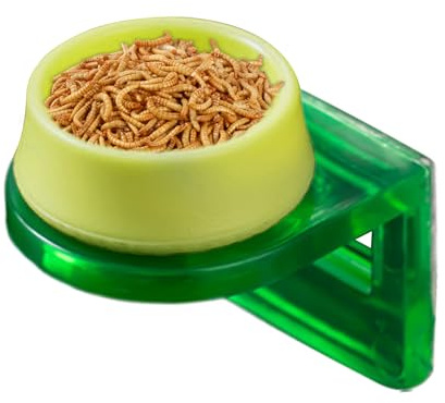 Crested Gecko Food Dish - Arboreal Feeding Ledge | 2.5x3x3.5cm Rack with Detachable Cup System, Abs Pc Construction with Clear Basin, Terrarium Tank Accessory, Elevated Reptile Feeder
