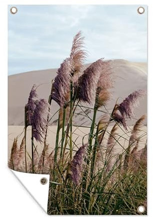 MuchoWow Poster exterieur Herbe de la pampa - Sable - Plantes - Dune Decoration murale 80x120 cm Résistant aux intempéries/soleil
