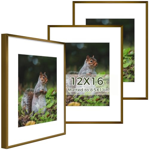 Golden State Art 12x16 Picture Frame 3 Pack - Aluminum Frames with 8.5x11 Removable Mats & Real Glass, Display 12x16 Posters or 8.5x11 Photos - Bronze Gallery Wall Frames for Home Office Decor