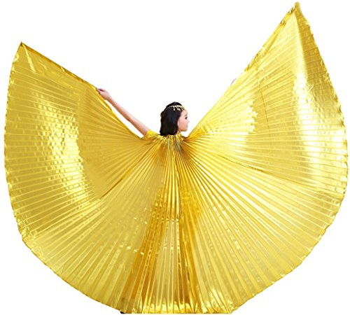 Baisdan Women's Professional Belly Dance Costume Angle Isis Wings No Stick