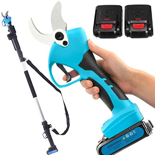 TAHALI Sécateur électrique, sécateur sans Fil avec Perche d'extension, Lot de 2 Batteries au Lithium, Lames SK5, diamètre de Coupe de 40 mm, pour verger et Jardin