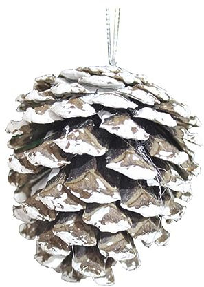 DIKACA 30st Fotografie Tannenzapfen Natürliche Tannenzapfen Winterdeko Tannenzapfen-Ornamente Weihnachtsfoto-Requisiten Weiße Verzierungen Dekor Kleiner Baum Trockene Kiefer