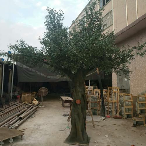 Árbol De Olivo Falso - Planta Artificial De Seda con Tronco Grueso De Madera Natural Y Frutos Rellenos Y Realistas, Follaje Duradero Resistente a Los Rayos UV 1.8mx1.5m