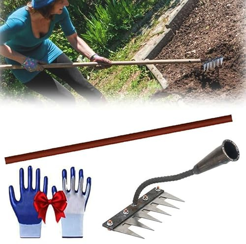 Rateau De Desherbage avec Manche, 5/6/7/8 Rateau Jardin, Acier Au Carboneavec Compatible Manche, Râteau De Jardin en Métal Très , Outil Multifonction Désherber, Ameublir, Semence (5 Dents)