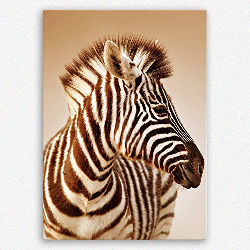 ge Bildet Bild auf Leinwand | Close-up Portrait von einem Zebra im Etosha Nationalpark - Namibia in 30x40 cm als Wandbild | Wand-deko Dekoration Wohnung modern Bilder | 1083