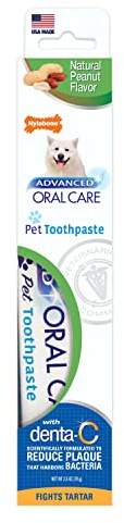 Nylabone Advanced Oral Care Natural Toothpaste Peanut Butter 2.5 oz. (1 Count)