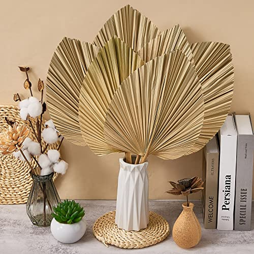 Fabbay 8 Pieces Large 20 x 9 Inch Dried Palm Leaves Party Decorations Natural Trimmed Spear Heart Shaped Fans Tropical Wedding Flowers for Boho Decor Vase Table Arrangements