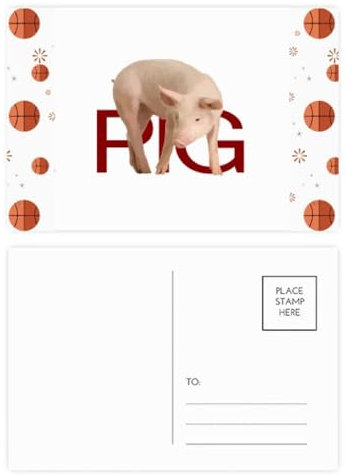 Postkarten-Set mit Schweinezuchttieren, Art-Deco, modisch, Basketball, Postkarten-Set, Dankeskarte, Versandseite, 20 Stück