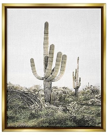 Stupell Industries Desert Landscape Cacti Gold Framed Floater Canvas Wall Art Design by Sisi and Seb