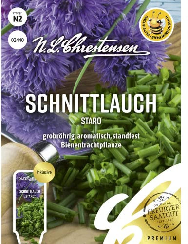 Schnittlauch Staro, grobröhrig, aromatisch, standfest, bienenfreundlich, Samen