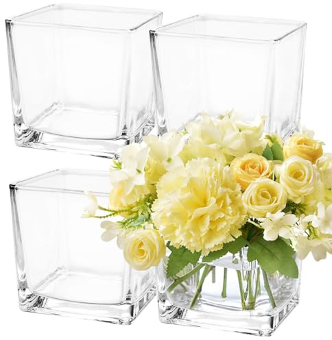 LDHHYH 4 Pack 6 x 6 x 6 Inch Square Glass Vases, Clear Square Vases for Centerpieces, Glass Cube Flower Vases Short Vases for Candle Holder Events Wedding Party Home Decoration