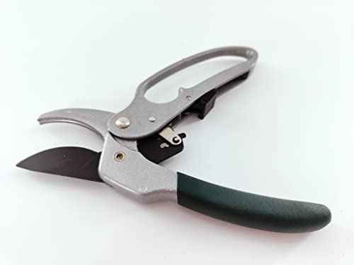 Burgon & Ball RHS Endorsed Ratchet Pruner, 20 cm Length