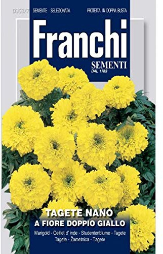 Tagete nano a fiore doppio giallo (Tagetes) (Semente)
