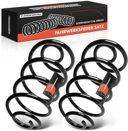 Frankberg 2x Federn Fahrwerksfeder Hinterachse Kompatibel mit Astra H 2004-2009 Astra H GTC 2005-2010 Replace# 93178630