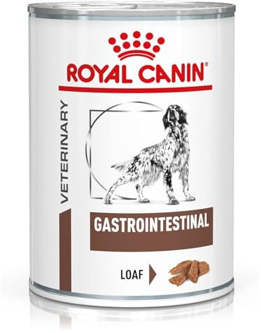 Royal Canin Veterinary Gastrointestinal Mousse | 12 x 400 g | Diät-Alleinfuttermittel für ausgewachsene Hunde | Zur Unterstützung bei akuten Resorptionsstörungen des Darms