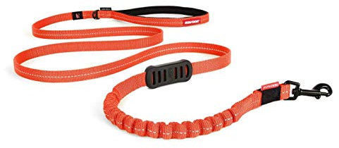 EzyDog Hundeleine für Kleine Hunde - Elastische Leine mit Bungee Ruckdämpfer - 'Zero Shock' Leine für Hunde - Hunde Leine Stabil, Reflektierend (180cm, Orange)