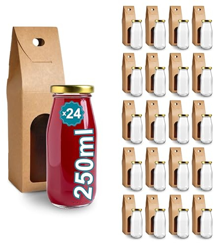 Espirito Rebelde 24 Bouteilles en Verre Vides de 250 ml avec Couvercle et Boîte - Bouteilles en verre pour jus, lait, barbecue, sauces - Idéales pour pique-niques, mariages et fêtes