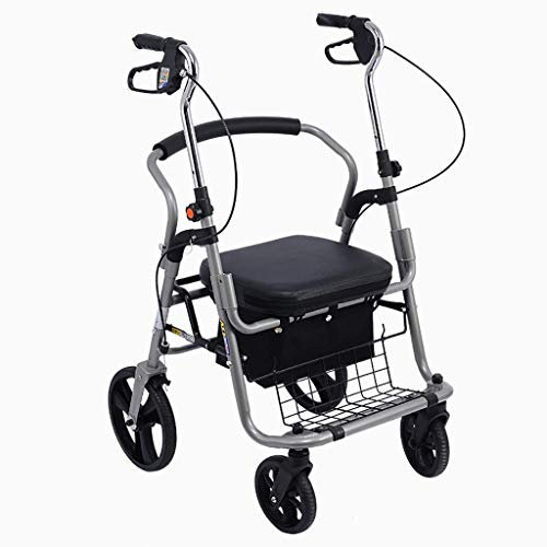 Aioneer Klappbarer Rollator, Transportstuhl, Rollator Walker – Gehhilfe Mit Doppelfunktion Für Senioren – 4 Räder – Faltbarer Gehwagen Für Erwachsene