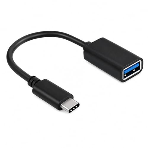 DragonTrading OTG - Cable adaptador USB C compatible con Amazon Fire 10 de última generación, adaptador USB C a USB hembra para llevar