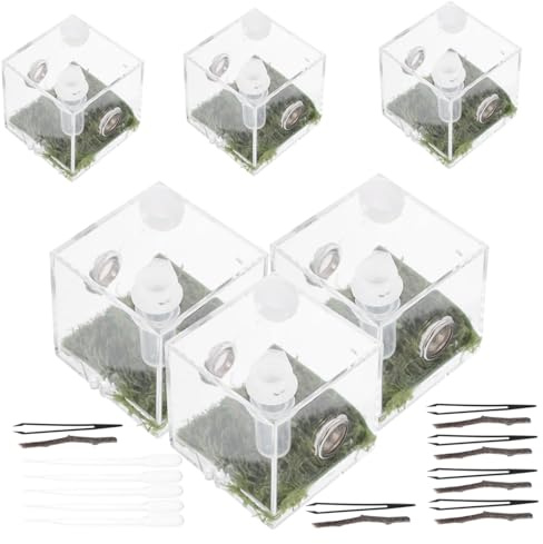 BESTonZON 2ensembles Boîtes Enclos pour Araignées Sauteuses Acrylique avec Orifice De Ventilation pour Nourrir Les Insectes