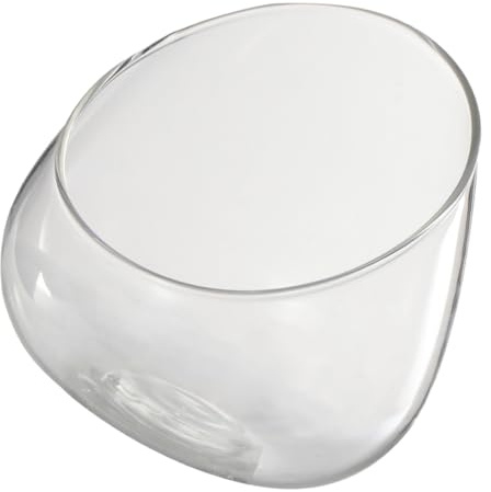 SHINEOFI Schräge Glasflasche Mikrolandschafts Terrarium 16,5x16,5cm Glasgefäß Pflanzbehälter für Wohnzimmer Garten Dekoration