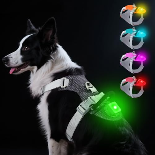 Taglory LED Dog Harness with AirTag Holder, No Pull Light Up Dog Vest for Night Walking, USB Rechargeable Pet Safety Harness with 2 Metal Clips, Adjustable Soft Vest for Large Dogs (Slate Gray, L)