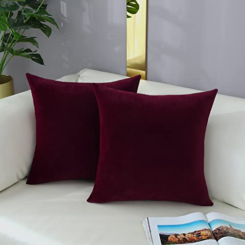 mixeoo Gemütliche burgunderrote Kissenbezüge, dekorative Lendenwirbelsäule, massiv, rechteckig, Dicker Samt, superweich, Heimdekoration für Sofa, Couch, Wohnzimmer, Stuhl, 2er-Set, 35,6 x 35,6 cm