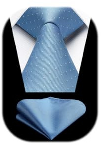 HISDERN Krawatte für Herren mit Einstecktuch Dot Krawatten Hochzeit Klassisch Business Krawatte Gepunktete und Taschentuch Set