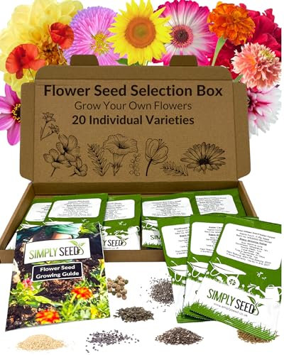 Flower Seed Selection Box - 20 Premium Seed Varieties with High Germination Rate. Natural, Sustainable & GMO Free. Instruction Booklet Included, Perfect for Beginners or Experts. Packed in The UK