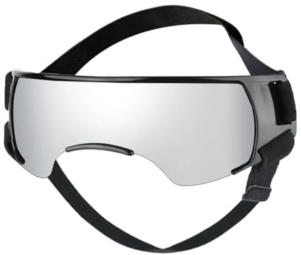 Hundglasögon, husdjur solglasögon mode husdjursglasögon valp dammtäta vindtäta hundar UV-skydd solglasögon skyddar hundögon utomhus (vit)