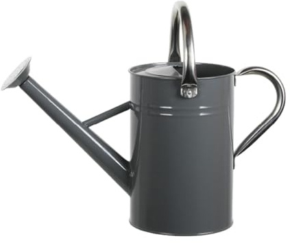 Arrosoir Jardin 5L, Arosoires Extérieur, Arrosoir en Métal pour Plantes Interieur avec Bec Amovible, Arrosoir à Fleurs avec Poignée Incurvée, Anti-Fuite, Construction Robuste et Antirouille, Gris