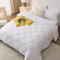 WAVVE Couette Tempérée 270GSM en Microfibre, Édredon Lit 2 Personnes 240x260 cm, Toutes 4 Saisons et Hiver pour Lit 160x200/180x200/200x200, Grand Chaud Épais Garnissage 270g/m², 260x240 Blanc